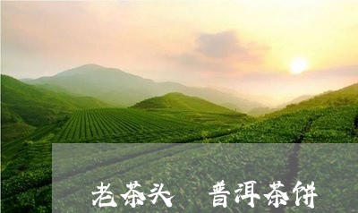 老茶头 普洱茶饼/2023041174840